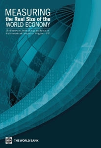 Measuring the Real Size of the World Economy 