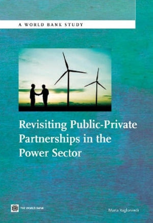 Revisiting Public-Private Partnerships in the Power Sector