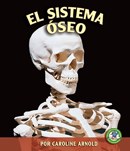 El Sistema Óseo (the Skeletal System)