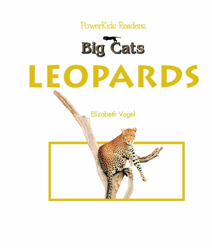 Big Cats: Leopards