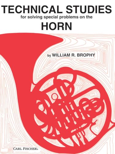 Technical Studies for Horn