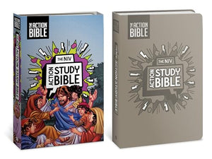 The NIV Action Study Bible, Leathersoft, Gray, Full Color