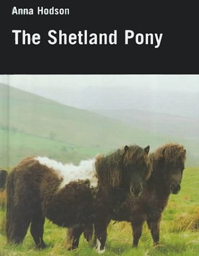 The Shetland Pony