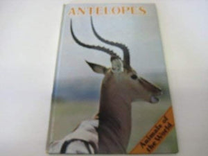 Antelopes 
