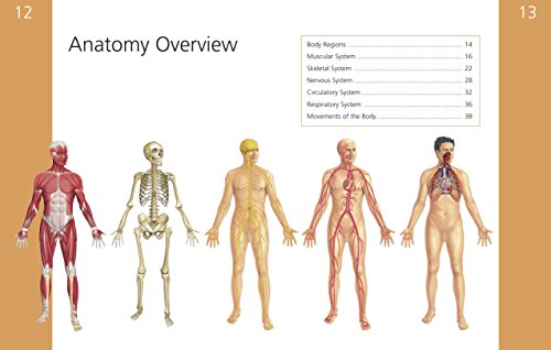 The Student's Anatomy of Exercise Manual