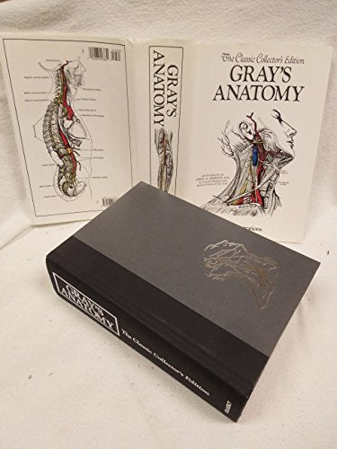Anatomy, Descriptive and Surgical