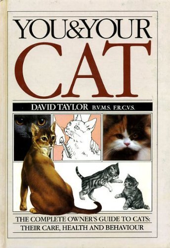 You & Your Cat