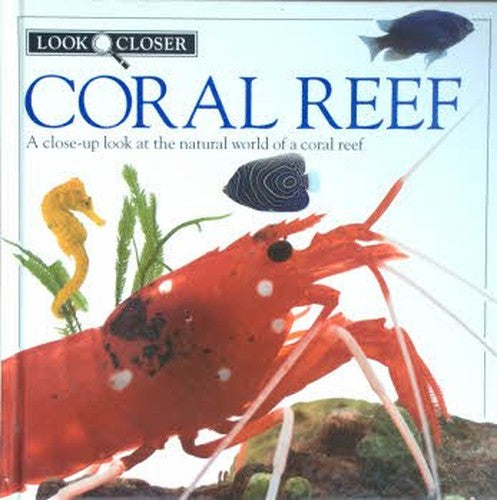 4 Coral Reef