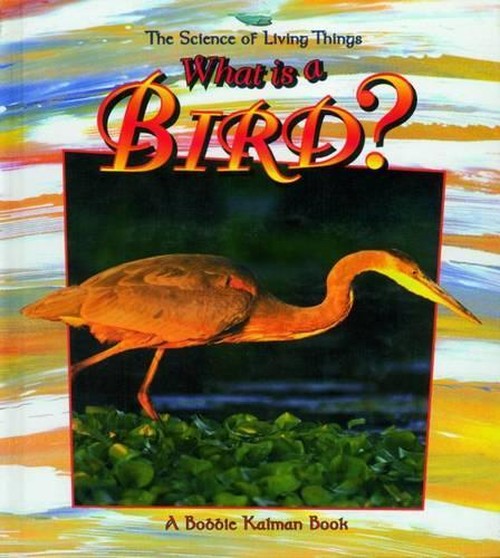 What is a Bird? cover