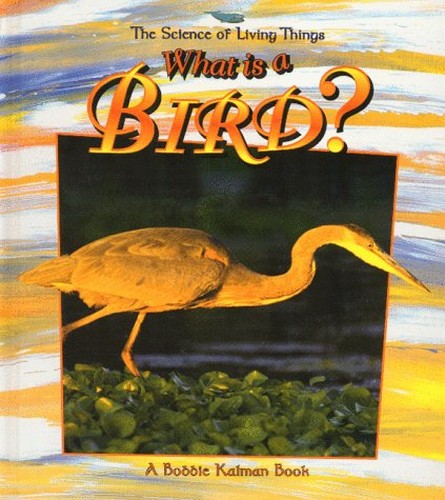 What is a Bird?