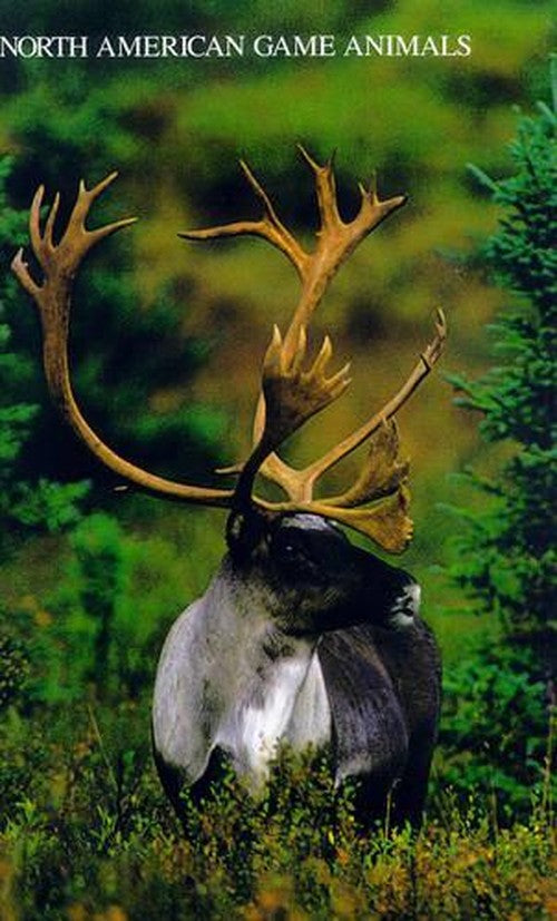 North American Game Animals