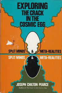 Exploring the Crack in the Cosmic Egg : Split Minds and Meta-Realities 