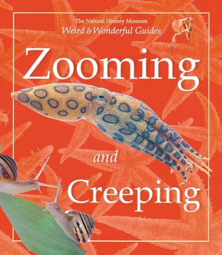 Zooming and Creeping
