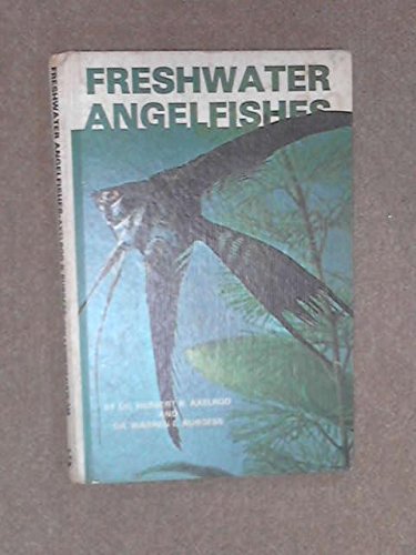 Freshwater Angel Fishes