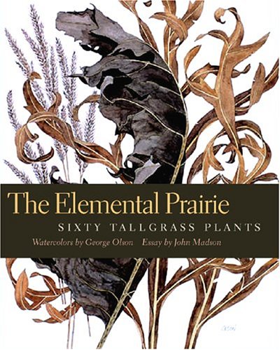 The Elemental Prairie