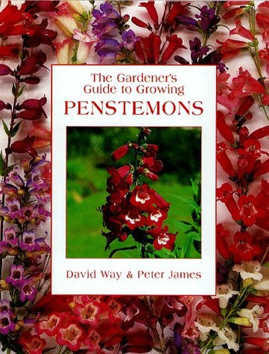 The Gardener's Guide to Growing Penstemons