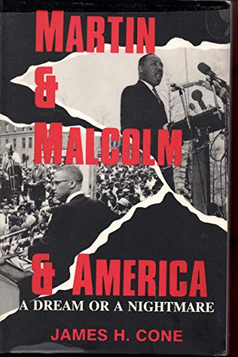 Martin and Malcolm and America
