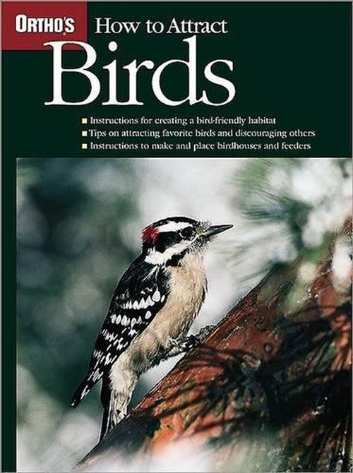 How to Attract Birds