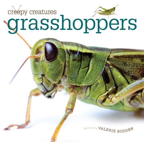 Grasshoppers