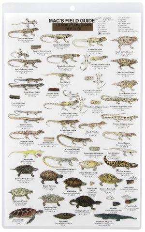 Mac's Field Guides: North American Reptiles