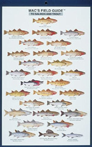 Mac's Field Guides: North American Salmon & Trout