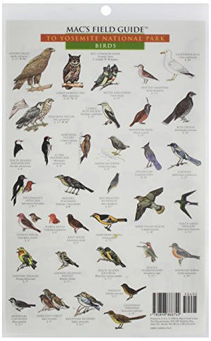 Mac's Field Guides: Yosemite Birds & Mammals