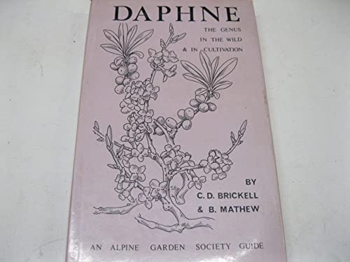 Daphne