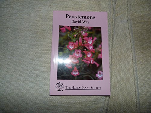Penstemons