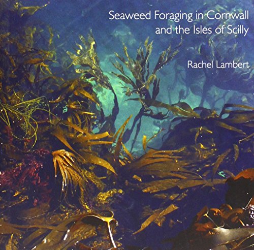 Seaweed Foraging in Cornwall and the Isles of Scilly