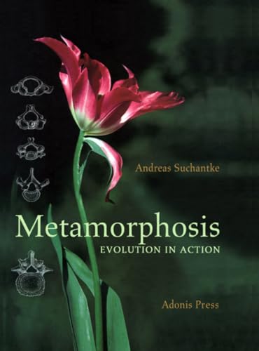 Metamorphosis