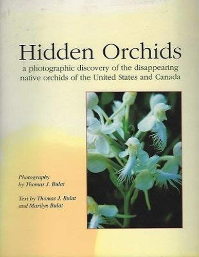 Hidden Orchids