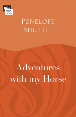Adventures with My Horse