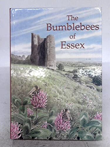 The Bumblebees of Essex