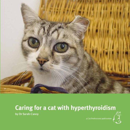 Caring for a Cat with Hyperthyroidism