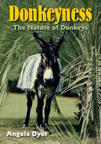 Donkeyness