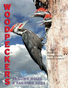 Woodpeckers 