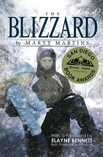 The Blizzard