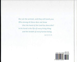 Wrangler My Spiritual Director Dog and Sir B, His Nemesis 