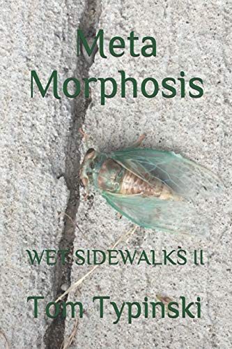 Meta Morphosis