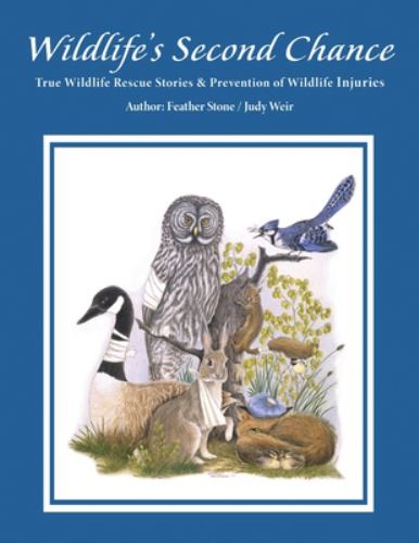 Wildlife's Second Chance