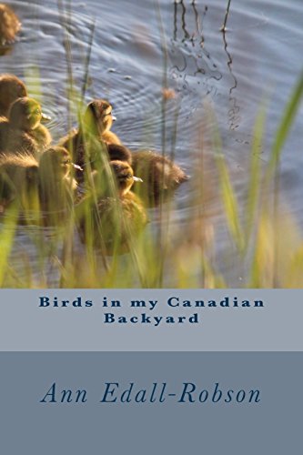 Birds in my Canadian Backyard cover art