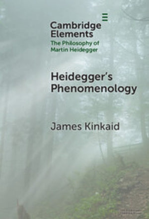 Heidegger’s Phenomenology