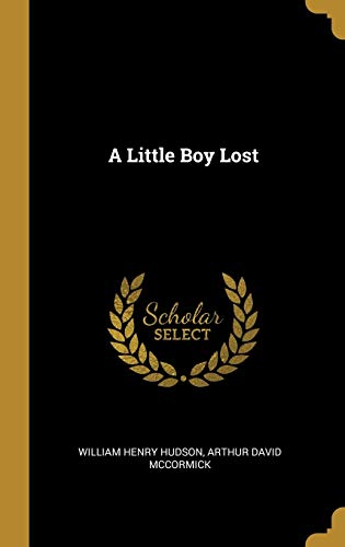 A Little Boy Lost cover