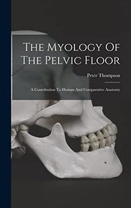 The Myology Of The Pelvic Floor 