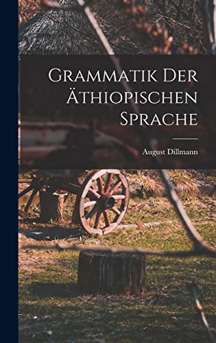 Grammatik der athiopischen Sprache cover