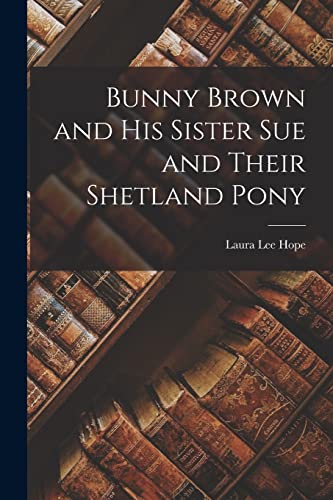 Bunny Brown and His Sister Sue and Their Shetland Pony cover