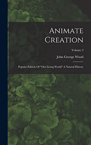 Animate Creation