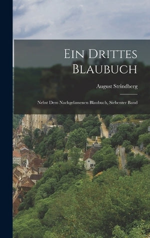 Ein Drittes Blaubuch