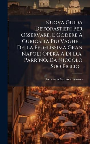 Nuova Guida De'forastieri Per Osservare, E Godere A Curiosità Più Vag cover