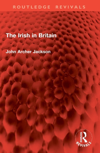 The Irish in Britain cover